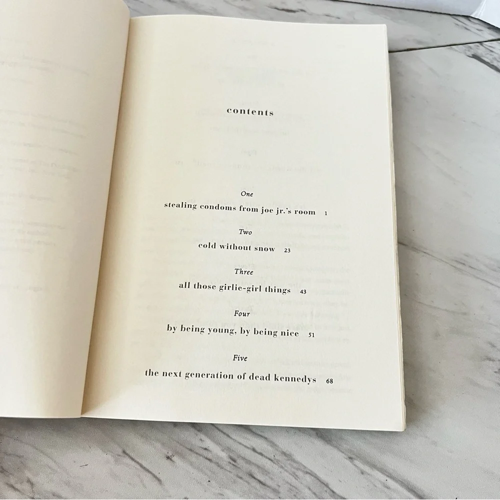 Family and Other Accidents: A Novel Hardcover Shari Goldhagen